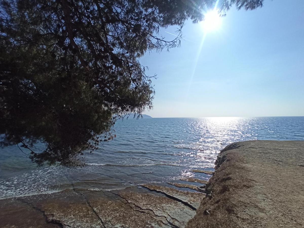 Ete Indien - Plage - Wifi - Host Provence Apartman La Ciotat Kültér fotó