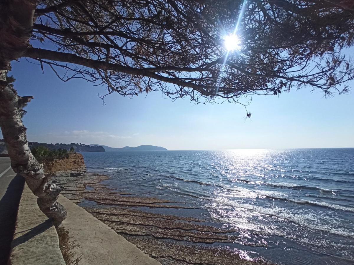 Ete Indien - Plage - Wifi - Host Provence Apartman La Ciotat Kültér fotó